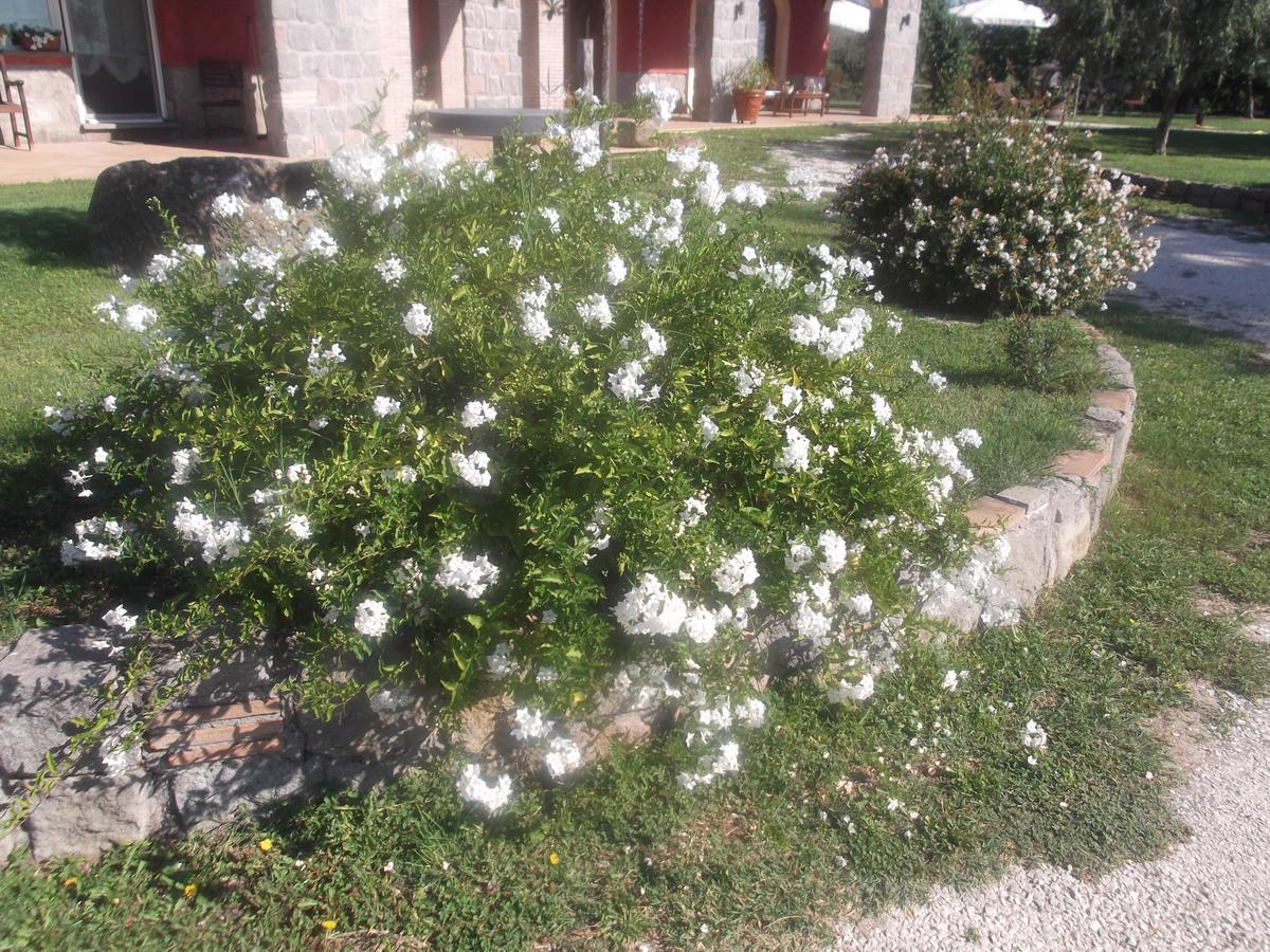Agriturismo Casal Grande Canepina Екстериор снимка